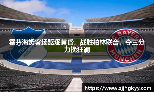 bsports官网入口