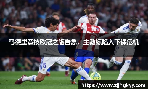bsports登录入口