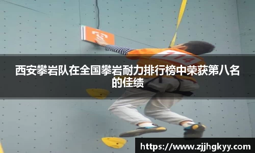bsports登录入口