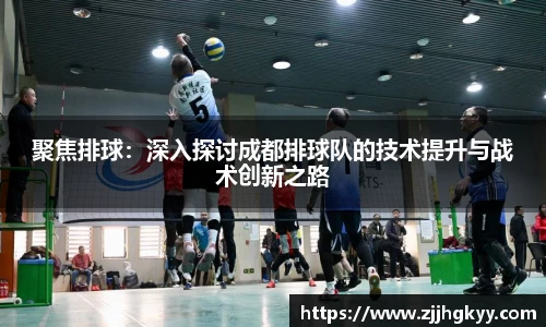 bsports官网入口