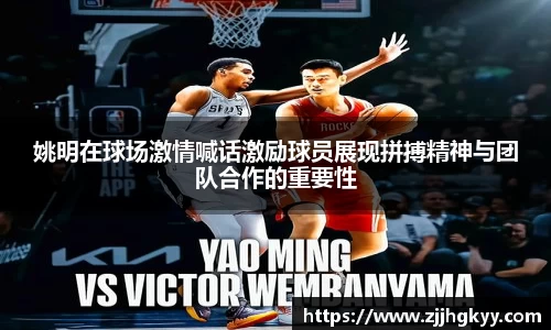 bsports官网入口