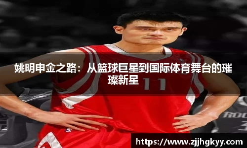 bsports官网入口