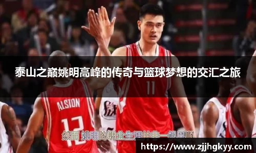 bsports登录入口