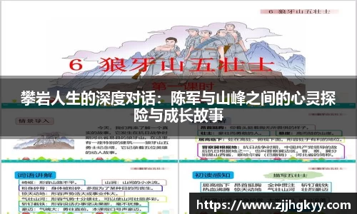bsports官网入口