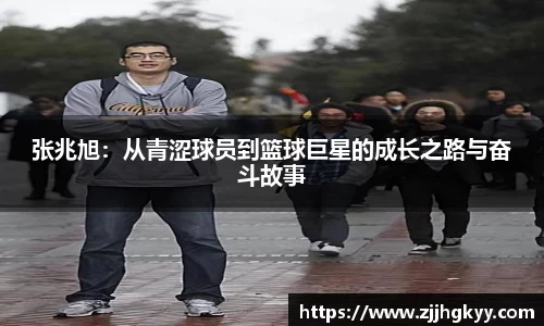 bsports登录入口