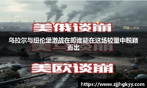bsports登录入口