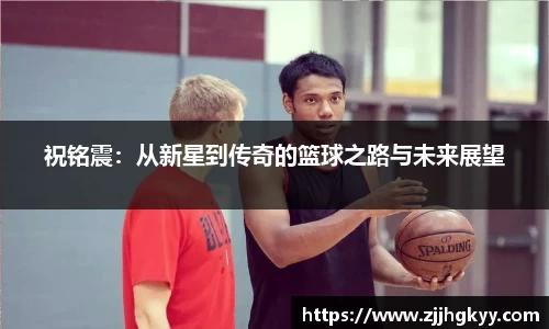 bsports登录入口